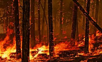 �� � ����������: ��-�� ������� ������ ������������ �������� � ��������� �� �������������