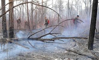 В Приамурье удалось потушить все природные пожары