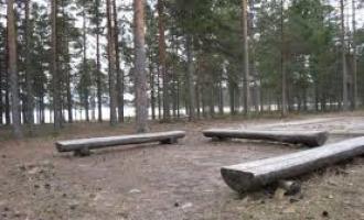 В Карелии прокурорская проверка обнаружила нелегальные, потенциально опасные детские лагеря