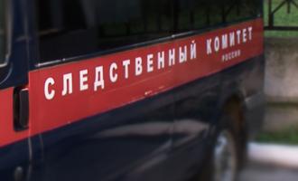 В деревне в ХМАО столб придавил юную туристку