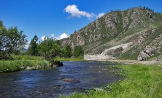 Трех детей унесло течение горной реки на Алтае