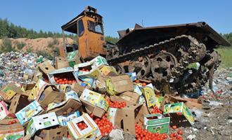 В России из санкционных продуктов больше всего утилизируют овощей и фруктов