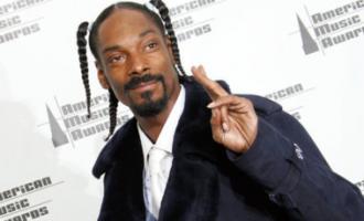 Американский рэпер Snoop Dogg стал причиной травмирования 40 человек