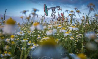 Новости экономики и бизнеса: впервые с 5 июля цена барреля нефти Brent превысила отметку в $50