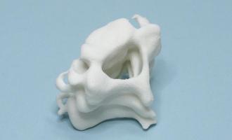 На 3D-принтере впервые напечатали натуральные «человеческие» кости