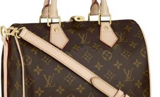 Где купить недорогие сумки Louis Vuitton