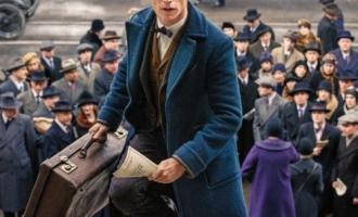 Дамблдор из «Гарри Поттера» в «Фантастических тварях» оказался геем