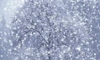 �������������� 22 ���. ������� ������ �������� ��� ����� �� ������� ���������