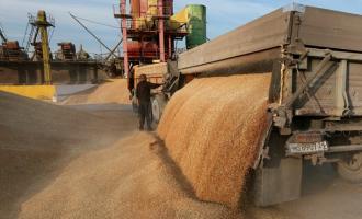 Россия может обеспечить голодающую Венесуэлу зерном