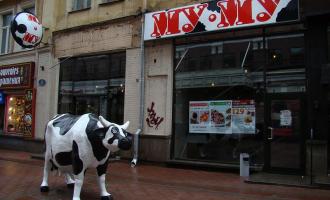 Роспотребнадзор закрыл столичное кафе «Му-Му» после отравления детей