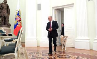 Путин появился перед японскими журналистами с подаренной собакой