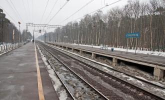 В Москве под колесами поезда погибло два человека