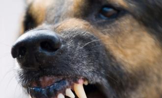 � ����������� ������ �������� ����������� �������