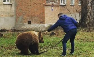 В Таганроге парень выгуливал на поводке медведя во дворе жилого дома