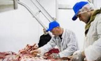 Россельхознадзор: в девяти районах распространилась продукция с птичьим гриппом