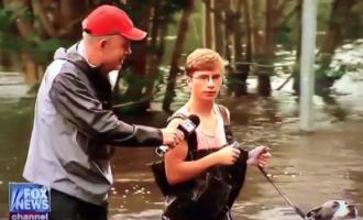 Забавное видео: американец выгулял собаку по пояс в воде после шторма