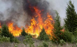 По причине пожаров превышение концентрации оксида азота в Якутске увеличилось в 6,2 раза