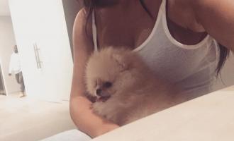 ����� ����� ���� ��������� ����� ��� ���������