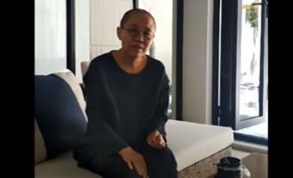 Вдова Лю Сяобо Лю Ся впервые появилась после похорон мужа диссидента