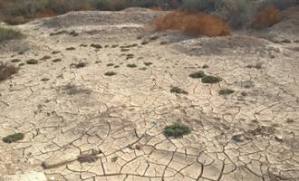 В Иордании исчерпаны запасы воды