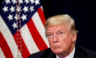Дональд Трамп: помощь Китая актуальна в решении ядерной проблемы КНДР