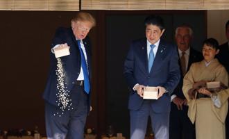 Как Трамп японских рыбок кормом потчевал