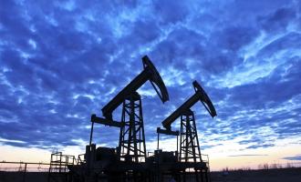 Данные торгов на бирже: поднялась в цене нефть марки Brent