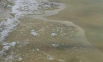 В Татарстане деревню Куяново затопили бобры