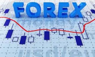 Что такое рынок Forex и как получать на нем прибыль?