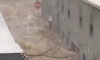 �� ������� �������� � ��� ��������� ����� ��������