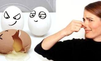 ���� �����������������: �� ���-������� ������� ��������� ������� ������������ 