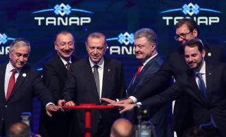 � ������ ���������� ������������� ���������: ������� ���������� �� ������������ � ������