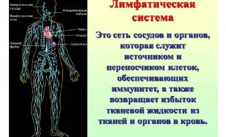 ������ � ����������� � �������������� ������������ ������������� ������� ����������� ������� �������
