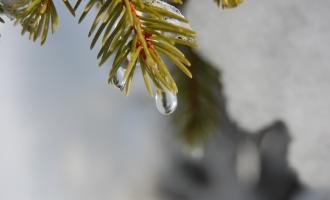 Синоптики о погоде в Москве: оттепель сменится морозами