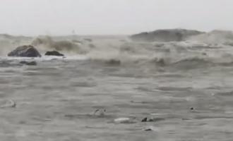 ����������� ������� ������ � ��������: ������� �������, ������� �������