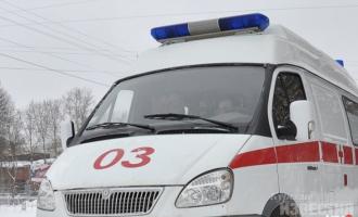 Следственный комитет по Пензенской области: двое деток провалились под лед