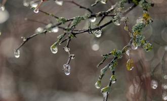 Гидрометцентр России о том, что в Москве объявили желтый уровень погодной опасности