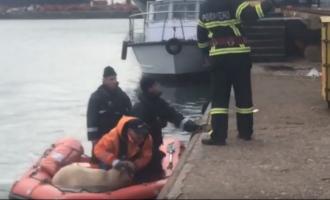 Инцидент в Черном море: ранее утонул из-за бревна корабль с 30 тоннами анчоуса