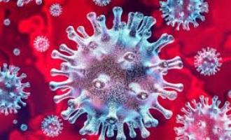 Coronavirus: ����������� ��������� ���������� ������������ ��������� COVIDSafe