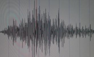 О двух землетрясениях у иранской атомной электростанции «Бушер»