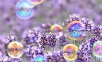 � ������ ������� ����� �������� ��������