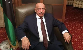 Спикер парламента Ливии Алига Салех оценил акцию приветствия москвичей