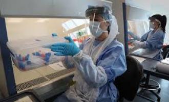 Учёные о влиянии коронавируса на среднюю продолжительность жизни