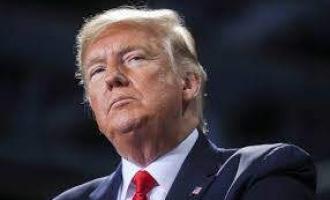 О том, как в TikTok отреагировали на указ Трампа о мерах против компании