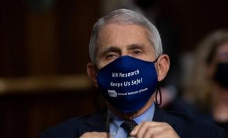 Выборы в США-2020: Энтони Фаучи считает, что рекламная цитата кампании Трампа вводит в заблуждение