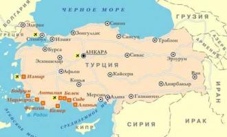 � ������ ����������������� ����������� �������� ������ �� ������� COVID