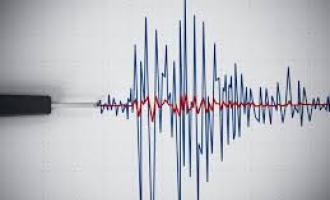 О том, что число пострадавших при землетрясении в Японии достигло 20