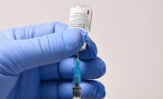 � ����� �������� ������� ������ ����� ���������� Pfizer