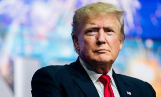 Трамп подал в суд на племянницу и New York Times из-за налоговой истории