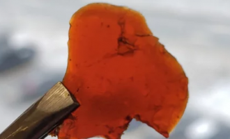 ������ ������� ������������ ������ ������� �� ������ �������